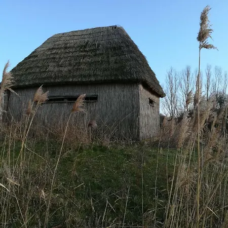 Apartament Il Piccolo Albero
